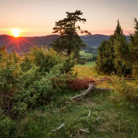Villa Silberberg Winterberg
