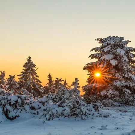 Silberberg Villa Winterberg